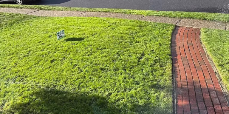 203446 harvest lawn care 768x382