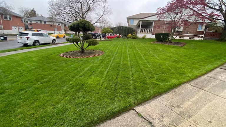 203466 dependable lawn care and construction corp 768x432