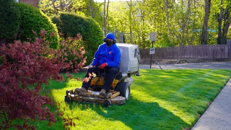 203470 blooming landscape 768x432