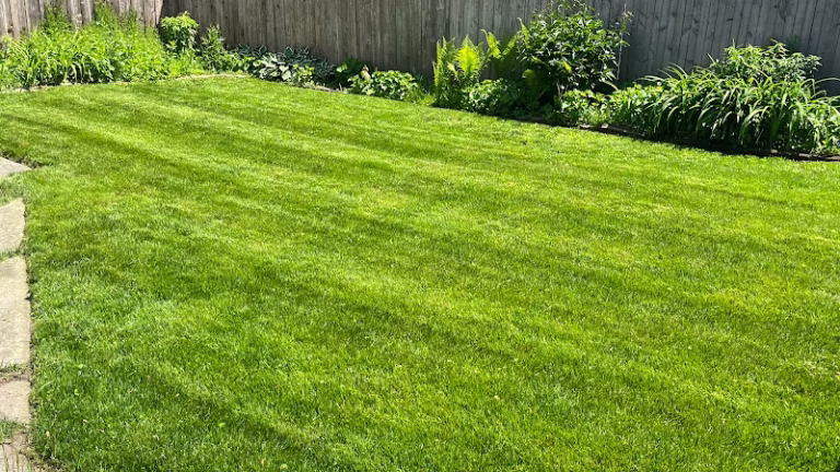 203499 the mean green guru llc 768x432