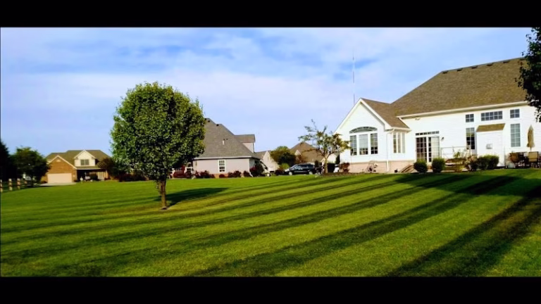 203501 bayshore lawn care llc 768x432