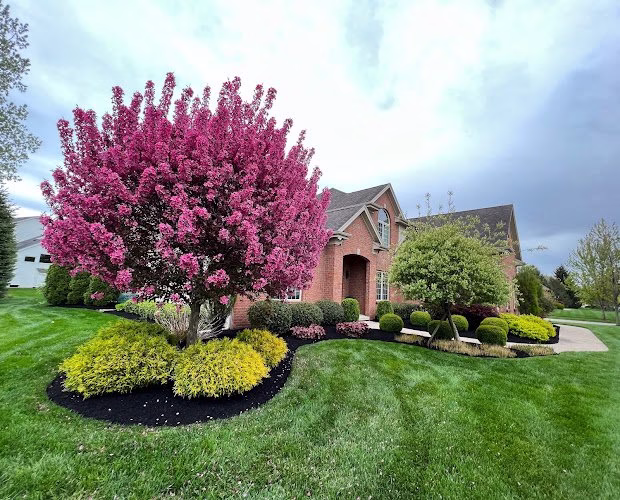 203509 riverfront lawncare landscaping