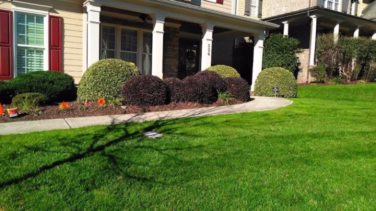 203564 green elegance lawn care 768x432