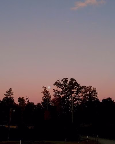 203589 long brothers landscaping