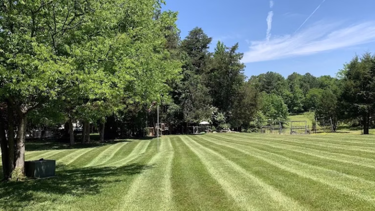 203592 carters landscaping bahama n.c. llc 768x432