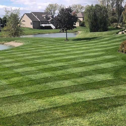 203657 rescue lawn improvement