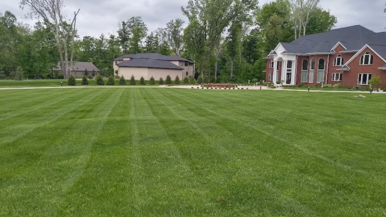 203678 lr lawn care service 768x432