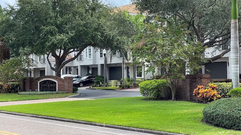 203697 green thing lawn care 768x432