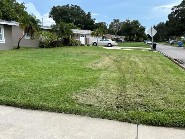 203699 lush yard lawn care