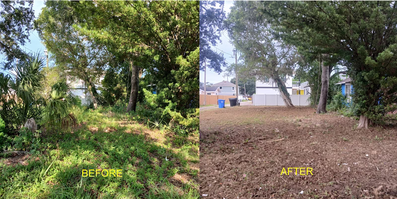 203715 green fusion landcare llc