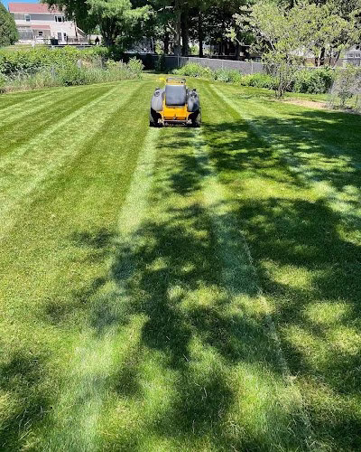 203876 revive lawn care llc