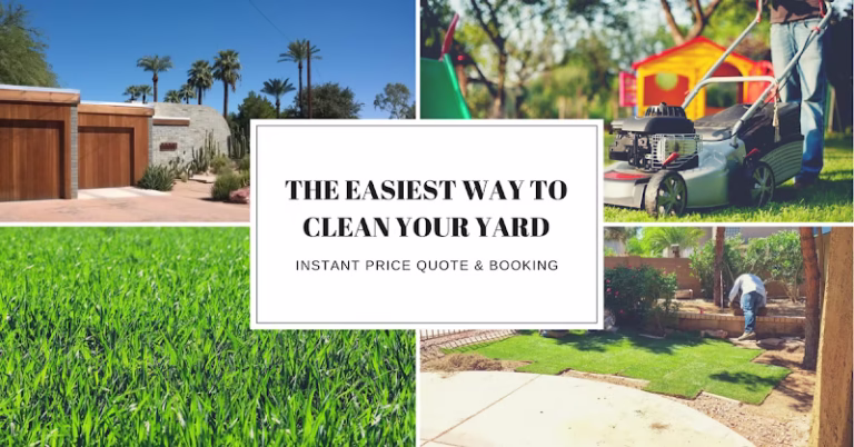 203887 house of yards 768x402