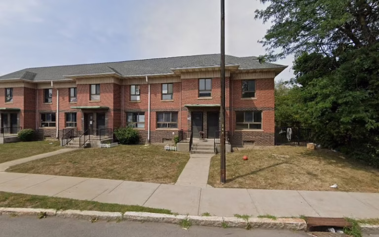 203930 andres lawn services etc 768x480