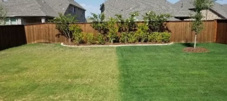203932 fertile green lawns 768x344