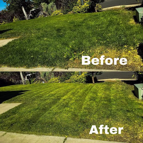 204055 cold valley lawn services llc