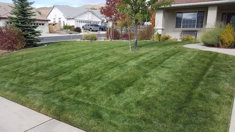 204059 corys lawn service 768x432