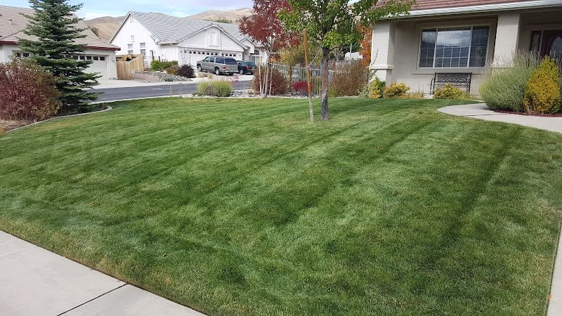 204059 corys lawn service