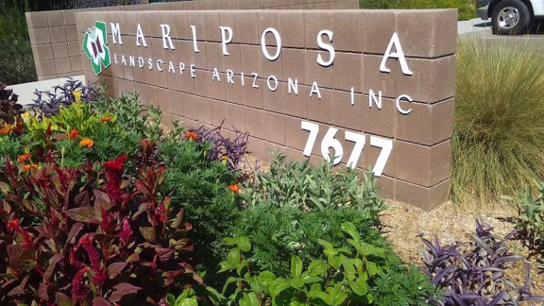 204124 mariposa landscapes inc. glendale az 768x432