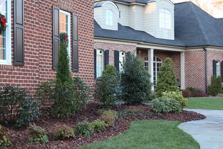 204160 triad weed free of winston salem