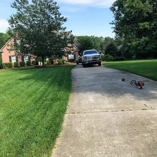 204173 martirs landscaping and tree services llc