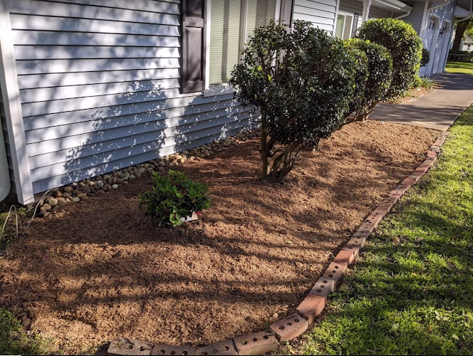 204234 allen family lawns llc