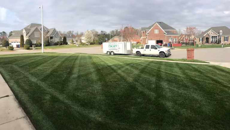 204249 good n green 768x434