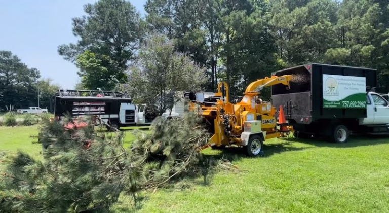 204267 757 lawn trees 768x420