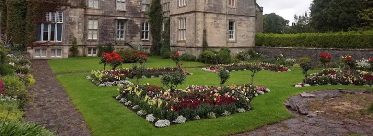 204397 wm landscaping 768x280