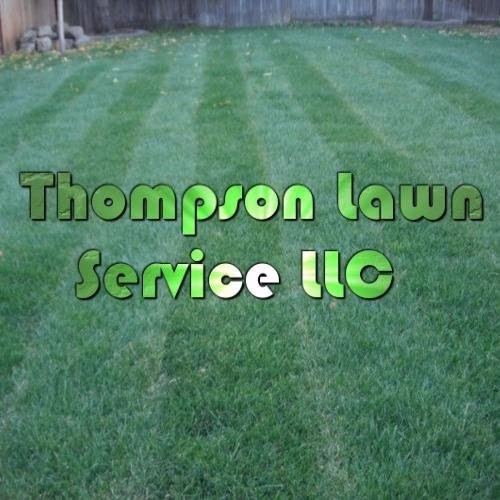 204418 thompson lawn service llc