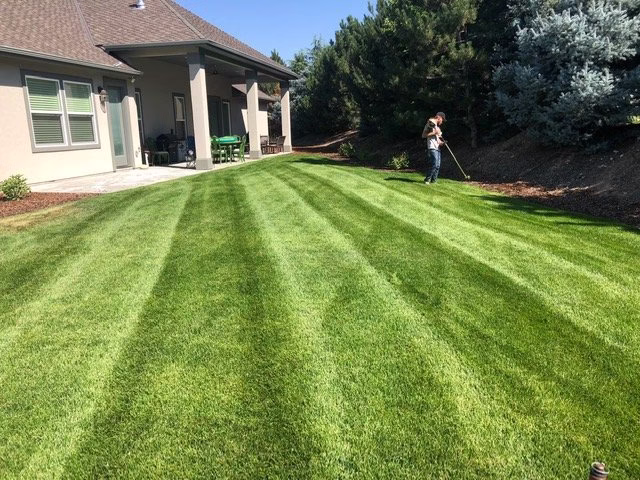 204436 midway lawn care llc