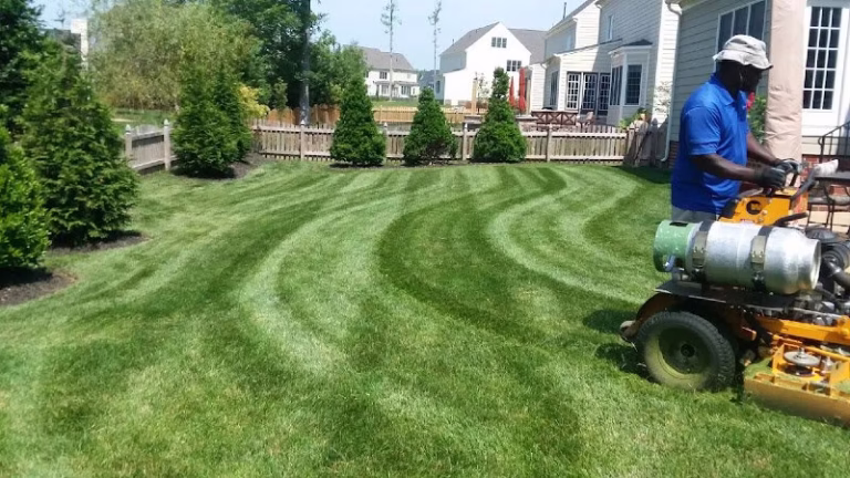 204469 weeded lawn service 768x432