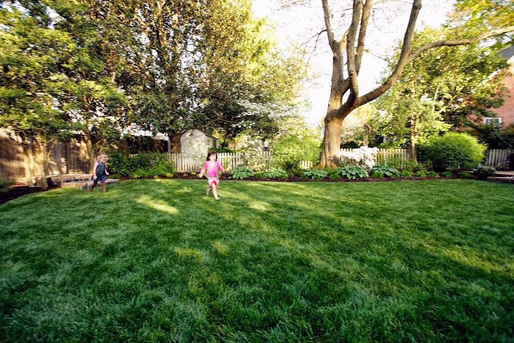 204487 cartwright landscaping