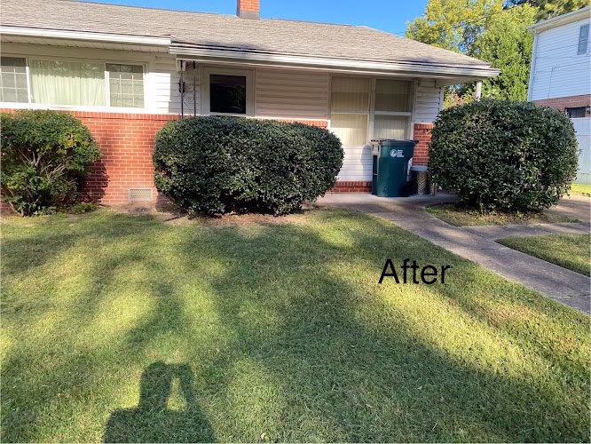 204511 bee green lawn care llc