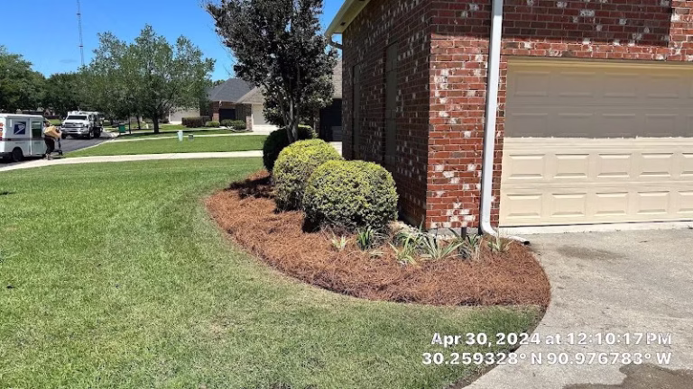 204544 cutscape llc 768x432