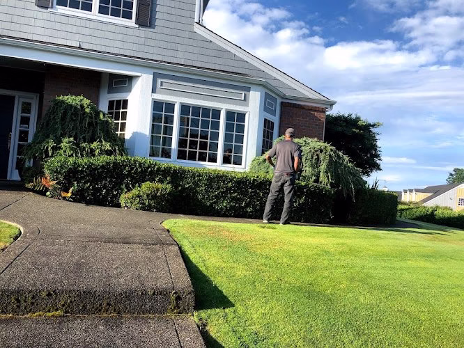 204728 pierce landscapers lawn care