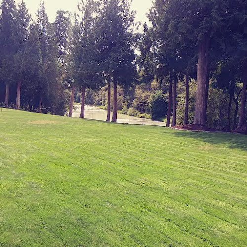 204752 new directions yard lawn maintenance