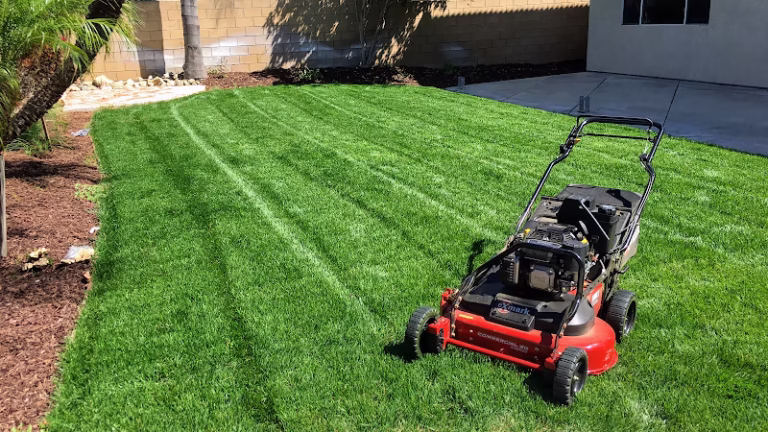 204792 j house lawn care and landscaping 768x432