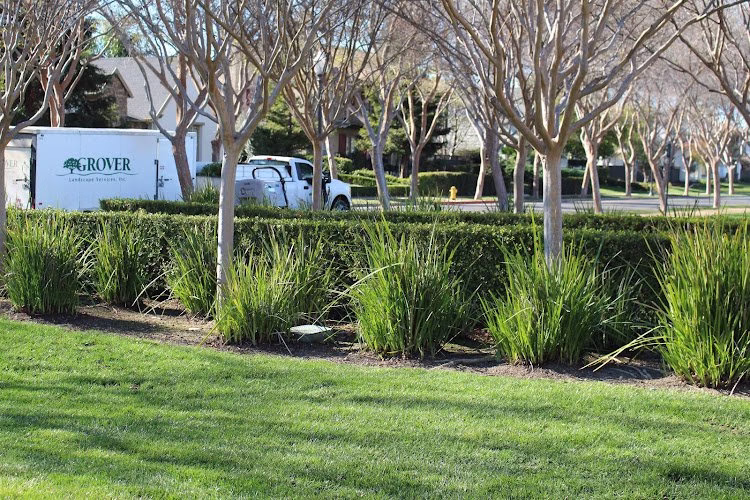 204798 grover landscape services inc