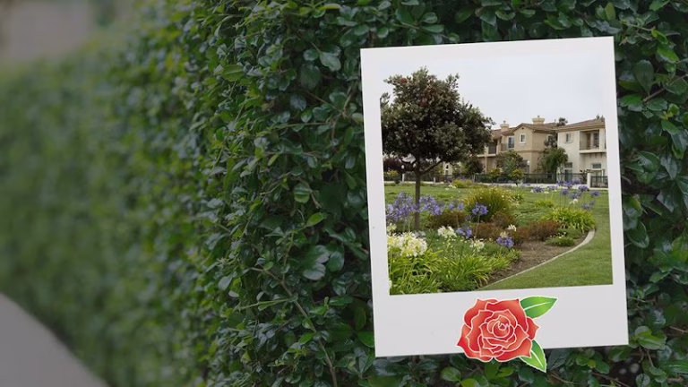 204831 stay green inc 768x432