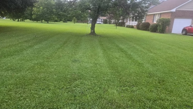 204848 johns landscaping turf services llc 768x432