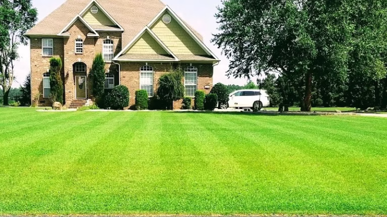 204905 n.c. lawn enforcement 768x432