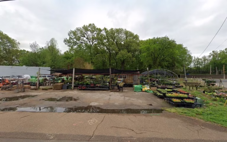 205831 united plumbing mechanical inc 768x480