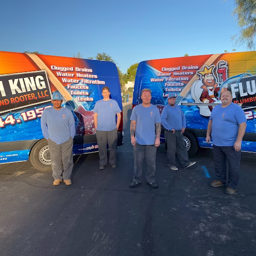 206812 flush king plumbing