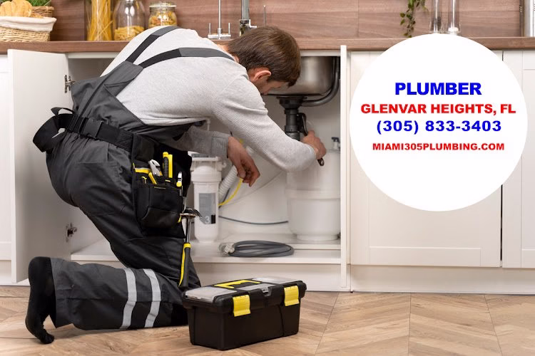 207461 miami 305 plumbing