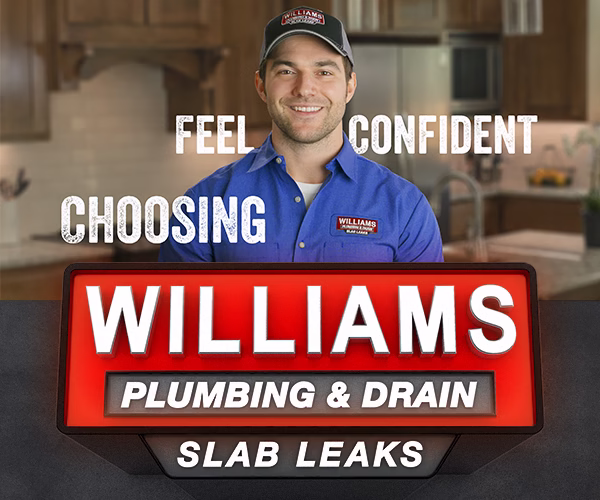 207850 williams plumbing drain service
