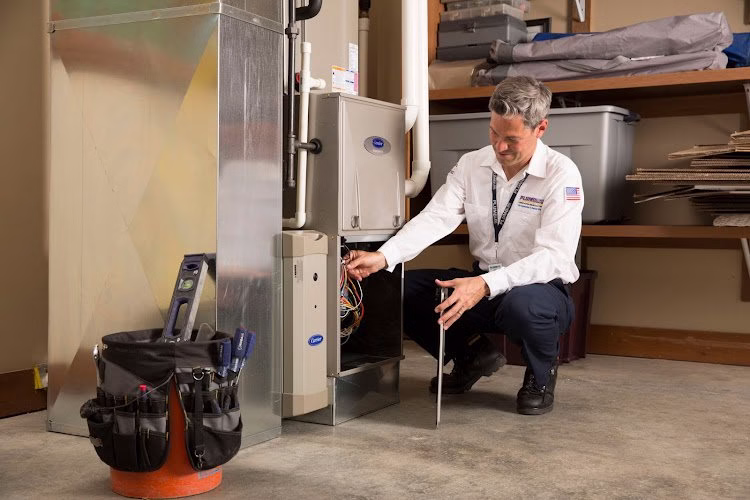 208655 plumbline services