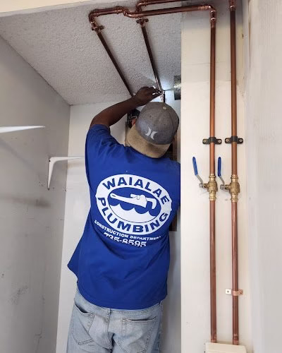 208799 waialae plumbing construction