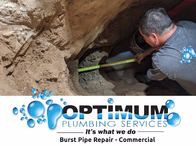 208949 optimum plumbing services