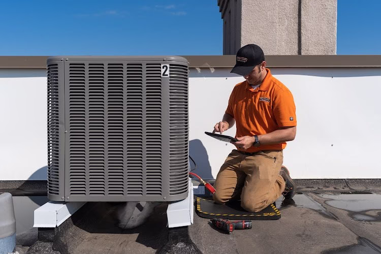 209445 mcquillan home services llc