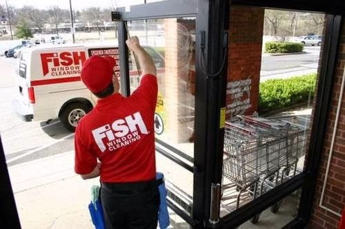 210276 fish window cleaning 1